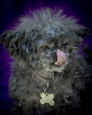 Foster Vivienne-9294