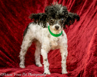 Foster Lillian-2949
