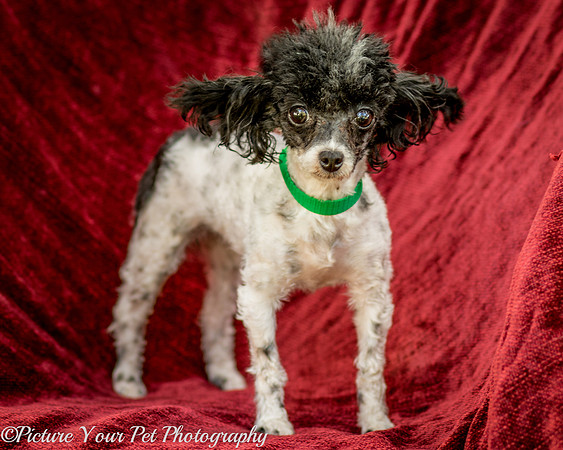 Foster Lillian-2949