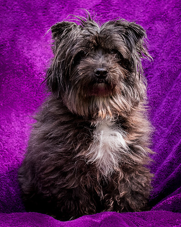 Foster Sammy-8355