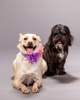 Maggie and Henry-7161