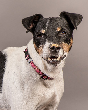 Foster Pollyanna-4004