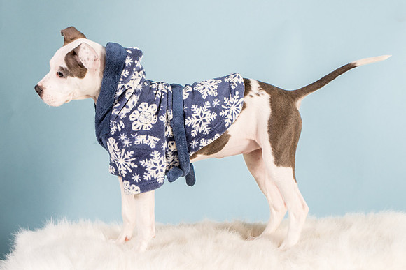 Foster Luna-4763