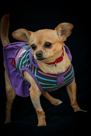 Foster Mirah-7719