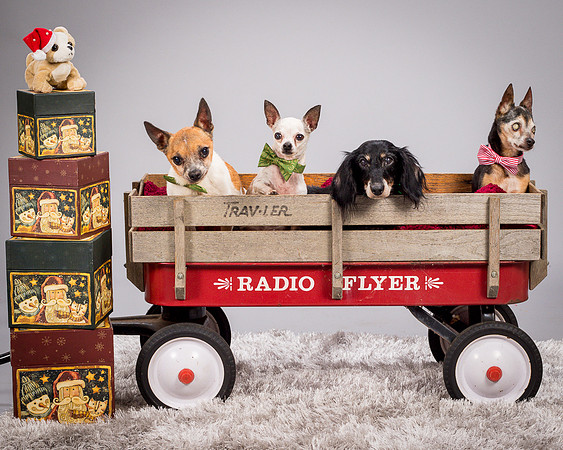 Foster Hospice Gang-3891