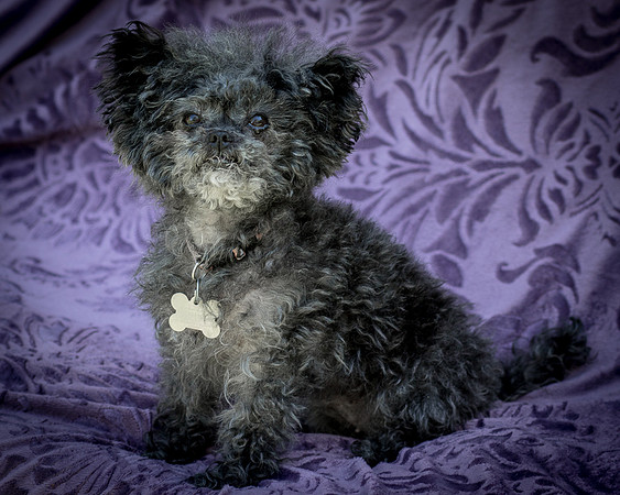Foster Vivienne-9320