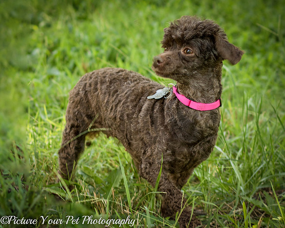 Foster Edna-2927