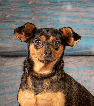 Foster Jolie-7173