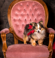 Foster Gabe-4398