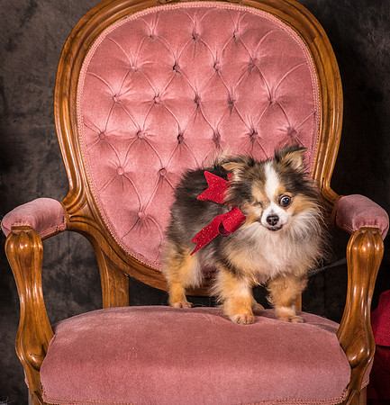 Foster Gabe-4398