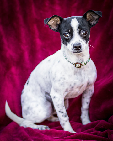 Foster Haylie-3986