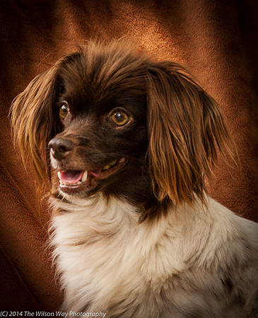 Foster Cerise-2284