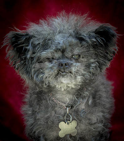 Foster Vivienne-9246