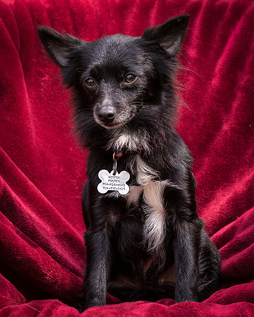 Foster Julio-8462