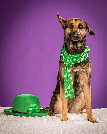 Izzy-2185