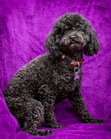 Foster Mindy-7317