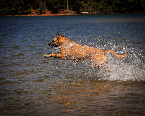 Roxy Running in Lake-0513