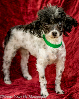 Foster Lillian-2961