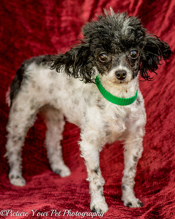 Foster Lillian-2961