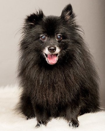 Foster Wayne-8209