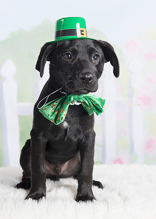 2016Mar12_3281 buddy