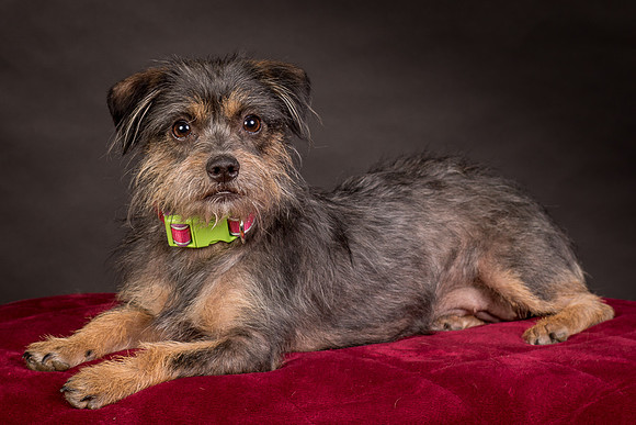 Foster Nadine-9611