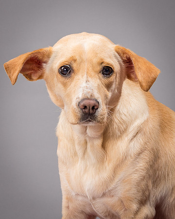 Foster June-3536