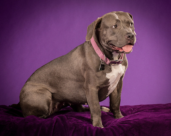 Daisy and Renegade-2554