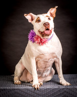 Foster Joanie-0408