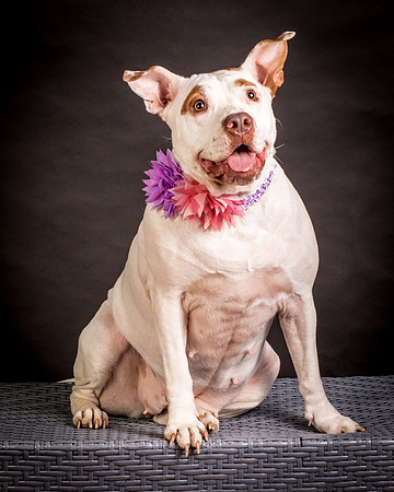 Foster Joanie-0408