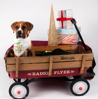 Foster Lenny-3059