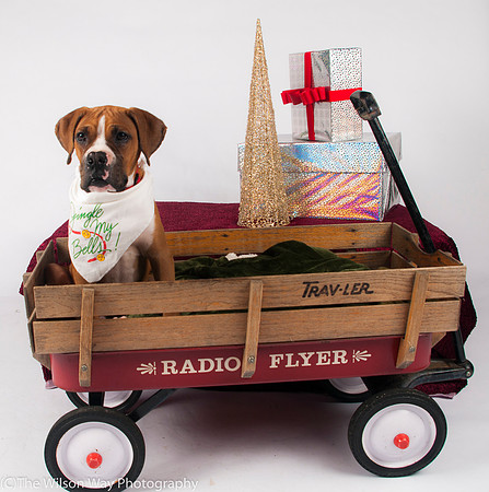 Foster Lenny-3059