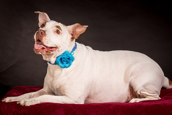 Foster Joanie-0477