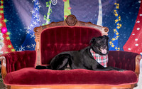 Foster Beatrice-3980