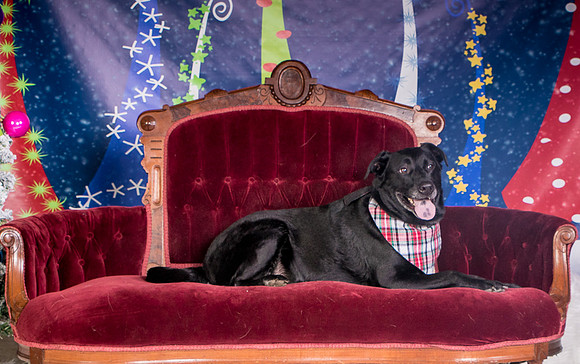 Foster Beatrice-3980