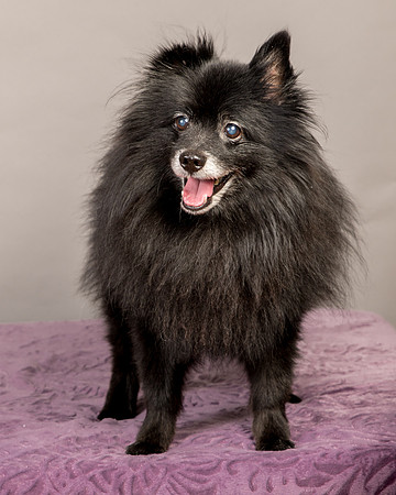 Foster Wayne-8268