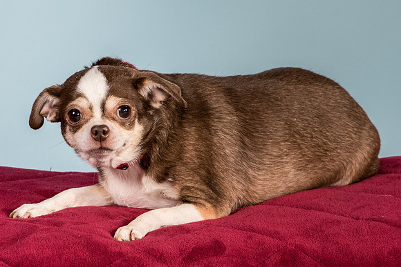 Foster Sophie-5212