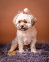 Foster Frida-2-4