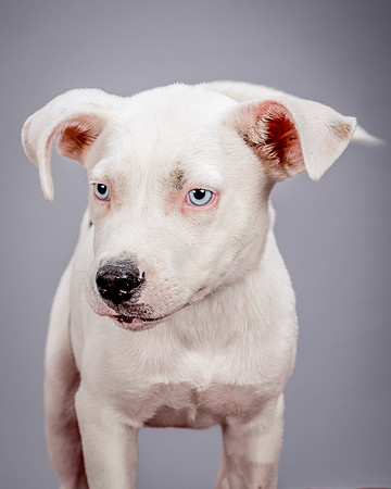 Foster Alvin-4745