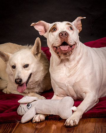 Foster Joanie-0579