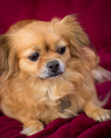 Foster Tia Maria-7948