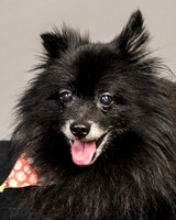 Foster Wayne-7708