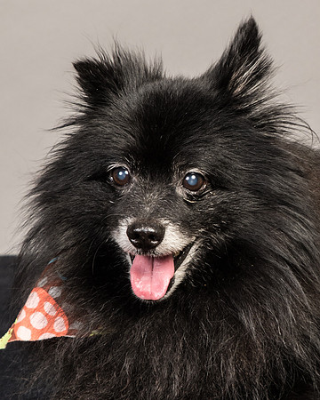 Foster Wayne-7708