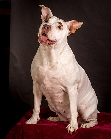 Foster Joanie-0497