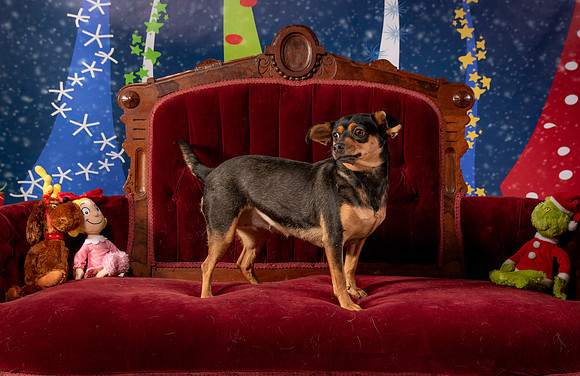 Foster Jolie-6487