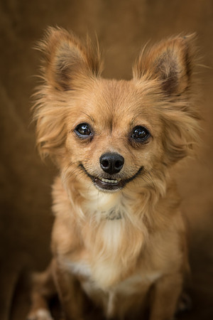 Foster Dolly-7755
