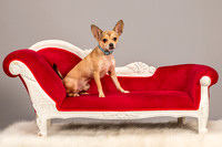 Foster Crouton-3759