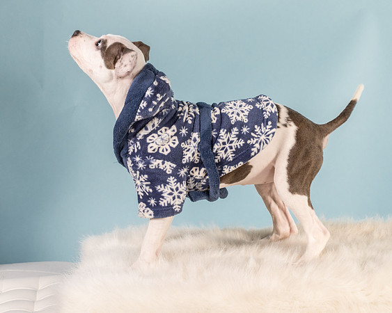 Foster Luna-4777