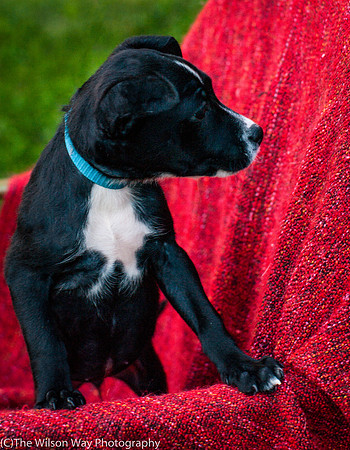 Foster Blythe-3937