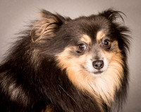 Foster Clint-4218